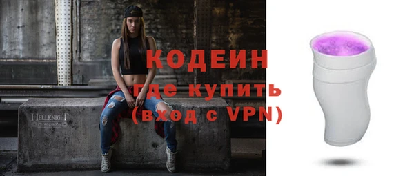 молекула духа Елизово