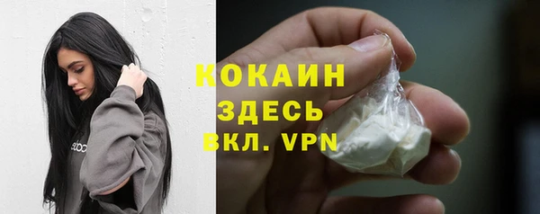 молекула духа Елизово