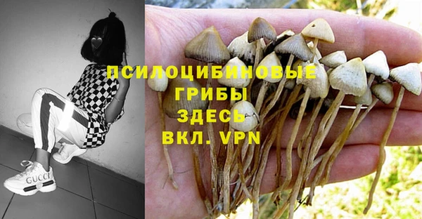 кристаллы Елабуга