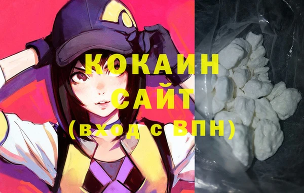 молекула духа Елизово