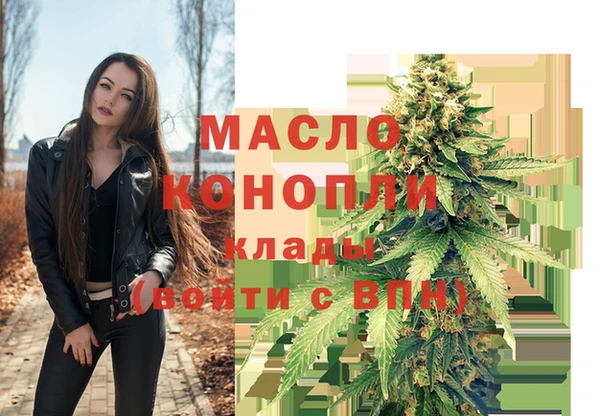 молекула духа Елизово