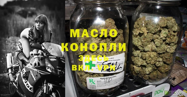 молекула духа Елизово